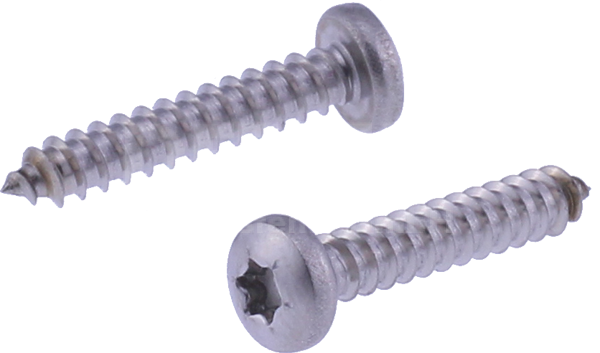 fillister head self-tapping screw 05438 3,9 x 22 mm