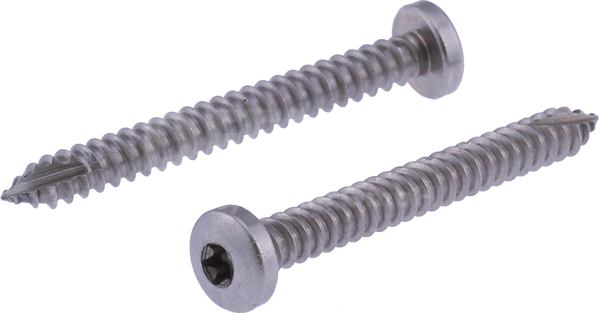 fillister head self-tapping screw 05833 5,5 x 50 mm