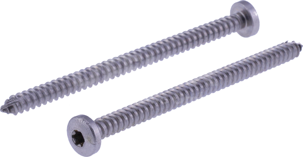 fillister head self-tapping screw 05834 5,5 x 56 mm