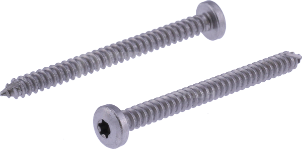 fillister head self-tapping screw 05835 5,5 x 62
mm A2
