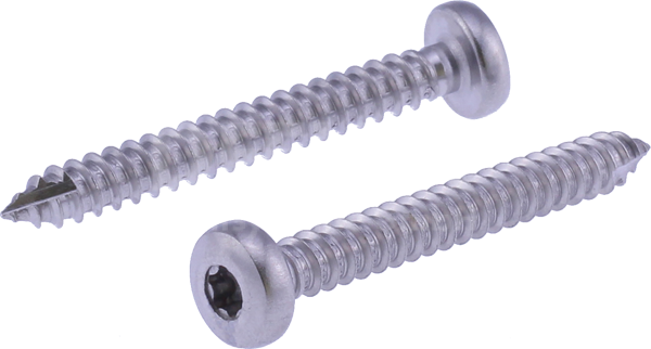 fillister head self-tapping screw 05832 5,5 x 44 mm